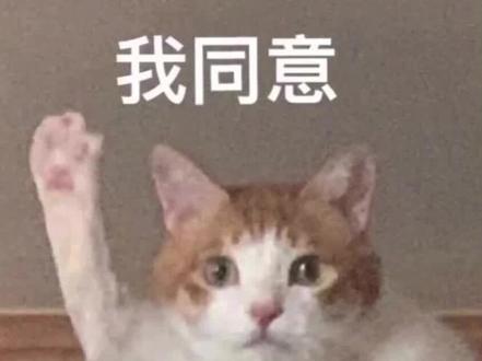 京城大师赛第八季:【白痴代跳预言家】【亿点高血压】【水圈变故】,本期元素过多!就是说全场一起坐牢!(下)【剪辑:不要拿捏我】#京城大师赛 #狼人杀经典名局 #狼人杀面杀 #jy #下饭视频