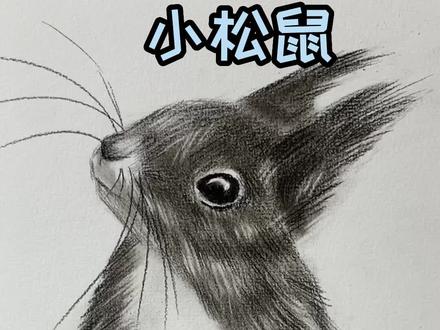 小松鼠该怎么去画呢?评论区交作业!#素描 #一起学画画 #绘画 #简单易学 #想画就画