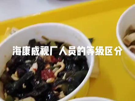电子厂里呆了两天 发现员工工作证带有四种颜色