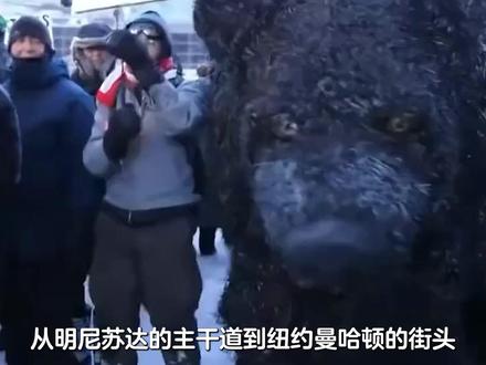 46州怒火燎原,ICE清零行动点燃全美,警队内讧让乱局失控 #抖音精选 #全球创作者计划