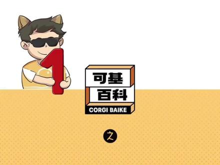 #可基百科 TXL🌈常见的🐻🦍🐒🐶🐷的区分,猜你要自测一下了 😄#内容过于真实 #冷知识