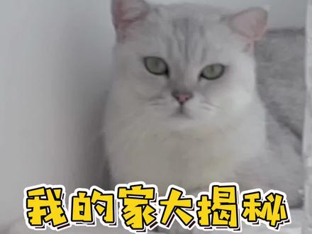 #vlog日常 带闺蜜来我家看看什么叫猪窝✌︎( ᐛ )✌︎