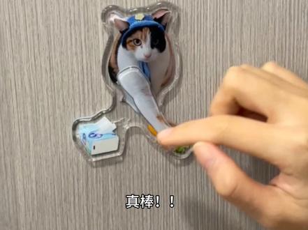 真棒👏🏻👏🏻👏🏻 萝卜纸巾猫咪冰箱贴~#真棒 #萝卜纸巾猫咪 #猫咪 #冰箱贴 #玩个很新的东西