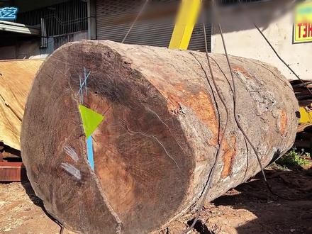 破产老板5w投资买木料,非洲进口巨型檀木,切开直呼赚了台车 #木头 #大板桌 #木结构 #进口木材 #木头