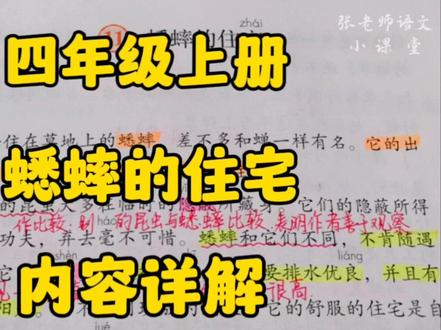 四年级上册:《蟋蟀的住宅》详解为什么说这是是一项伟大的工程? #小学语文 #四年级上册语文 #部编版语文 #创作者扶持计划