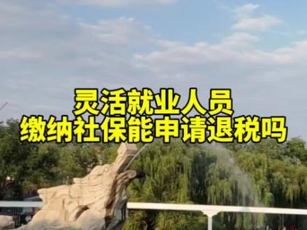 灵活就业人员缴纳社保能申请个人所得税退税吗#社保 #个人所得税 #个税汇算 #保障师说社保 #灵活就业人员