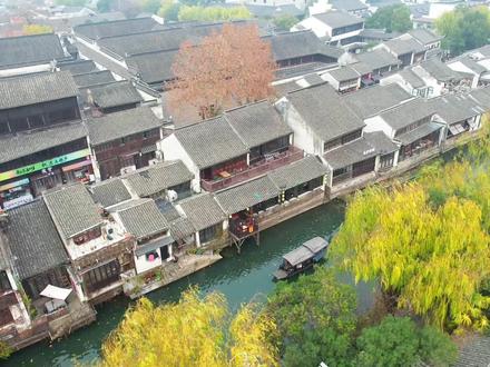 南浔庞氏(庞莱臣)史迹陈列馆已经对外开放,了解更多可以来南浔走一走看一看。#庞宅 #虚斋 #四象八牛七十二黄金狗 #南浔古镇 #江南春