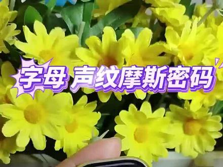 糯米系统如何设置摩斯密码,cd12max和cd20max #学生手表#摩斯密码插卡手表 #cd12max