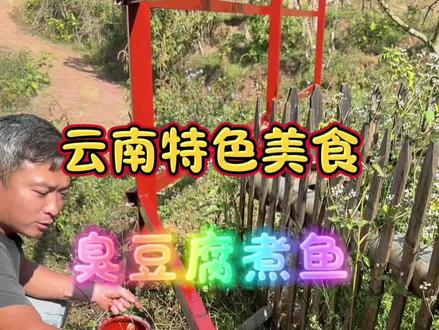 臭豆腐煮鱼!今天做一道云南特色美食,臭豆腐煮鱼!#农村生活#农村美食#记录真实生活