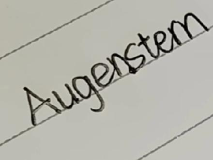 “Augenstern”德语,意为:眼睛里的星辰。用来比喻:最心爱的人。
