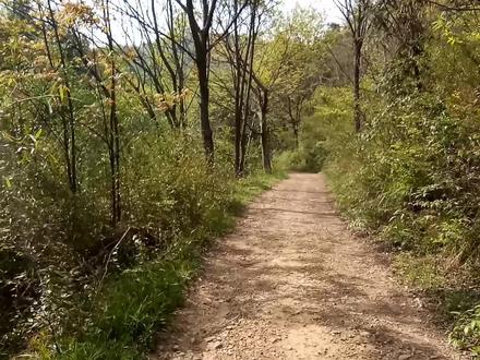 安徽宣城跟着导航从山间小路进敬亭山,无意间省了50元门票