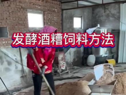 发酵酒糟饲料方法#发酵酒糟 #酒糟发酵剂 #2022新农人计划