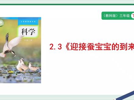 教科版科学三年级下册2.3《迎接蚕宝宝的到来》PPT,获取方法看主页或置顶