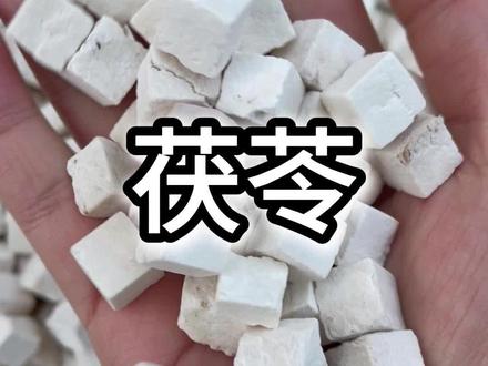 夏天去湿就靠茯苓了
#神农本草经 #本草图记 #茯苓 #中药本草 #中药材