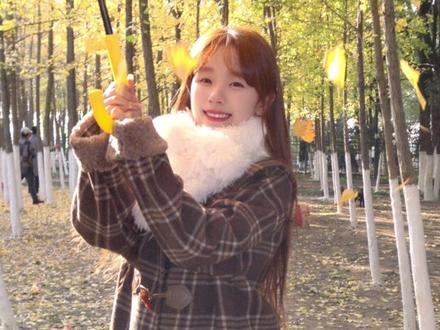 来看看我用80r的诺基亚n8 给闺蜜拍的秋日氛围照~到底值不值⁉️#银杏黄了
#氛围感拍照 #诺基亚n8 #ccd