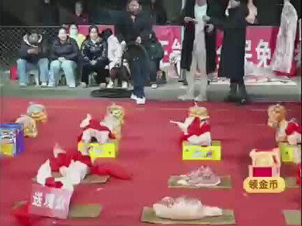 @海洋1625(收卖货助播) 海洋大舞台,想吃猪肉你就来😁