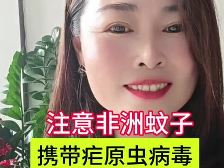 非洲的蚊子携带病毒疟原虫,#真实情况
