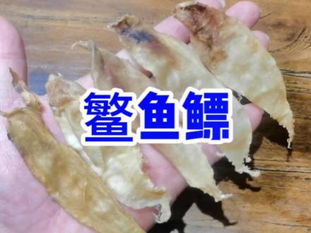 小儿受惊吓,食欲下降,夜梦增多,影响抵抗力,容易受细菌病毒感染。#赤嘴鳘 #赤嘴鳘鱼胶 #鱼鳔
