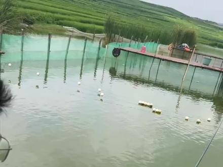 《一彬钓黑坑🎣》#原来钓鱼才是抖音运动顶流 #钓鱼人就是这么疯狂 #黑坑盘老板
