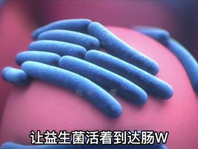 你的肥胖可能是因为被细菌操控了!这种细菌正在占领你的身体!#科普