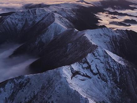 实在忍不了 这种骗子还有一群人信 #秦岭 #秦岭斗法