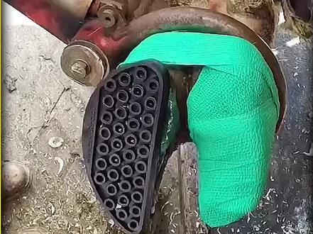 修牛蹄解压,有一疼叫龇牙咧嘴#修牛蹄 #修牛蹄纪录片