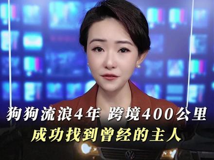 狗狗流浪4年,跨境400公里,成功找到曾经的主人!#狗狗 #狗是人类最忠诚的朋友 #流浪狗不再流浪 #万物皆有灵性