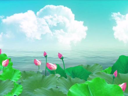 关键帧全新认识 教你6种常用操作 让你彻底掌握新关键帧 #关键帧教程 #剪映基础操作 #新版关键帧操作