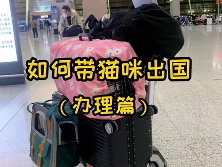 别再为了要出国而苦恼自己的爱宠了,快来了解如何把宠物带出国吧#宠物出国 #每一个生命都需要被善待 #携宠出游 #猫咪每天都在忙什么 #抖音小助手