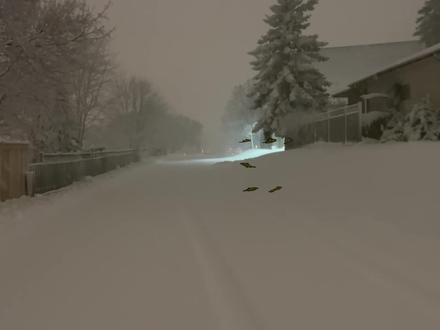 《黑土的乡愁》是一首扎根于东北地域文化的深情之作,词如一幅质朴的年画,精准提炼黑土地的魂;曲如一条封冻的河流,表面平静下暗涌深沉情感;唱如一位归乡的游子,用带着泥土味的嗓音完成了一次深情告白。是乡土题材中颇具代表性的佳作。