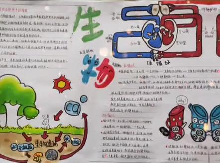 生物绘图及生物手抄报活动展示