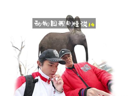 《动物园规则怪谈14》:所有的动物都在海洋馆里#幻想家的旅途 #旅行大玩家
