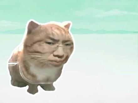 盘点近期网络热梗:听泉猫、无恐惧之人 #听泉猫 #听泉鉴宝 #新鲜哥 #coke #无恐惧之人 #梗 #搞笑