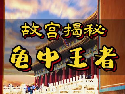 故宫紫禁城瑞兽排行榜中的龙龟,为啥比真龙的九个亲儿子还牛掰?#故宫 #涨知识 #网红打卡地 #紫禁城 #故宫博物院 #龙龟 #旅游 #历史 @DOU+小助手