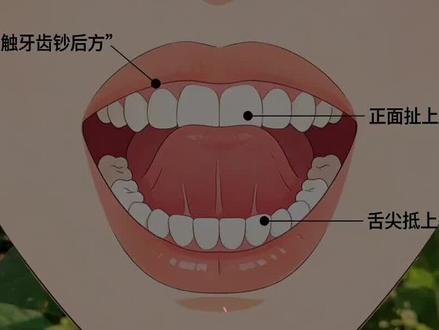 舌抵上颚的正确练法,启动你的真气循环#真气运行法 #真气运行