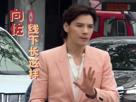 最接近向佐真实长相的视频出现了! #向佐线下长这样 #向佐 #明星 #生图