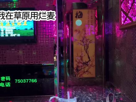 对不起乌兰图雅老师#乌兰图雅 #站在草原望北京 #高中牲