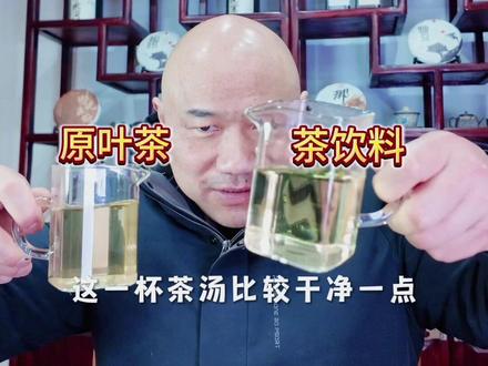 东方树叶茶饮料VS原叶茶,马年第一考!#知茶懂茶 #中国茶文化 #喝茶那点事