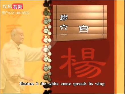 杨振铎《传统杨氏太极拳103式》分解教学第6式《白鹤亮翅》