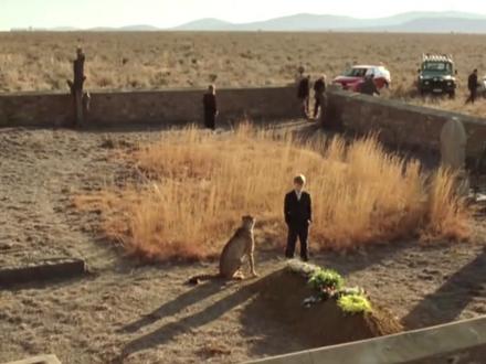 BBC大猫日记之小猎豹杜玛(6-1)duma 肯尼亚的马赛马拉是少数几个非凡猎豹家庭的家园,杜马是在这片艰难的环境中被它母亲养大的唯一幼崽。从这种最亲近的关系中杜玛将学到所需的一切生存技能,它将面临许多艰难的挑战,但这其中最大的挑战即将到来。#小猎豹杜马 #大猫日记纪录片 #动物电影推荐 #小猎豹