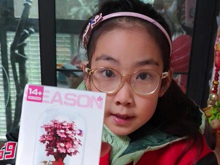 拼装积木 樱花 开始期待春天了