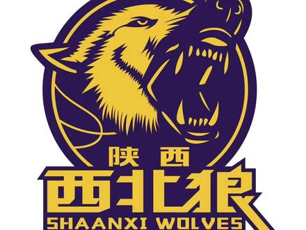 西北狼陕西信达男篮介绍#篮球 #NBL #陕西信达 #西北狼