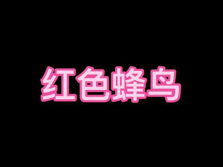 橡筋飞机好多种今天就来做一种