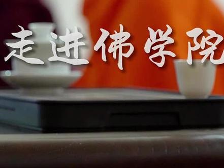 让茶文化走进西双版纳佛学院#普洱茶原产地 #佛学院 #茶艺培训 #云南西双版纳 #茶道与茶文化