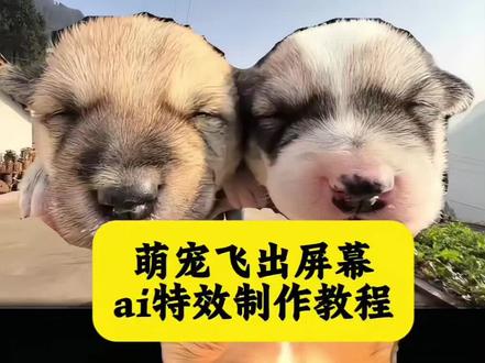 #剪映
#萌宠发射特技
萌娃发射特技
#狗狗冲出屏幕
#冲出屏幕特技
冲出屏幕亲亲转场
#萌宠发射特效
小狗飞来咯
来了来了,最近超火的萌宠发射特技教程来了
狗狗扔出屏幕特效
狗狗冲出屏幕
狗狗飞起特效
狗狗冲出屏幕教程
狗狗冲出屏幕特效教程
狗狗冲出屏幕制作方法
狗狗飞出屏幕教程
萌宠发射特技
萌宠发射特技教程
萌宠发射特技教程视频
萌宠发射特技教程在哪看
萌宠发射特技教程剪辑
萌宠发射特技模板
萌宠特效剪辑教程
萌宠发射特技特效制作
萌宠发射特技拍摄技巧
猫咪发射特技教程视频
猫咪飞出屏幕教程
萌娃发射特技
小孩扔出屏幕特效教程来了
小孩扔出屏幕特效
萌娃冲出屏教程
萌娃飞出屏幕教程
孩子起飞特效
孩子飞起来了
扔孩子起飞
扔孩子特效教程
把小孩扔出去特效
扔孩子冲出屏幕
扔孩子
别把孩子真扔了
AI接孩转场模版
AI接娃特效教程
AI接孩转场
AI接孩转场特效教程
生孩子就是拿来玩儿的
沉浸式带娃
把娃当“玩具”的快乐谁懂啊
乡村小院里的带娃乐趣,这娃被玩得明明白白
生娃不玩岂不可惜?看我把人类幼崽玩出花
孩子的搞笑瞬间
人类幼崽
带娃日常
亲子互动
萌娃瞬间
人发射特技教程
萌宠发射
萌娃发射特技剪辑方法
比熊
拉布拉多
柯基