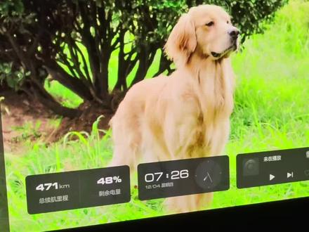 #哈弗 #哈弗大狗PLUS 怎么更换桌面图片