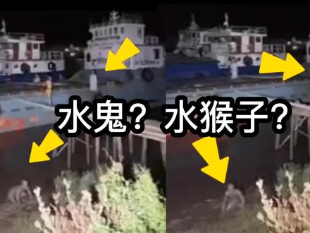 水边的水猴子和船上白色的鬼,是真的吗?#地球百科君 #科普 #辟谣 #鬼怪 #水猴子 #水鬼 #灵异 #诡异