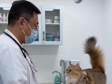 #AI剪爪引发的风波 #随变ai随便玩