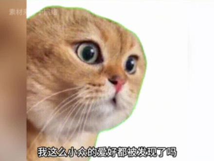 难道只有我一个人是这样的吗?#内容过于真实 #内容太过于真实