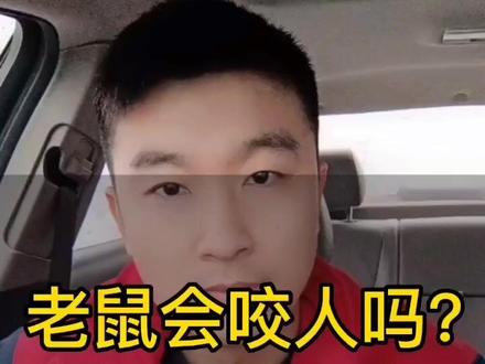 老鼠会咬人吗?#镇江除四害#灭鼠